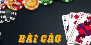 bài cào